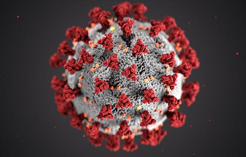 Corona Virus